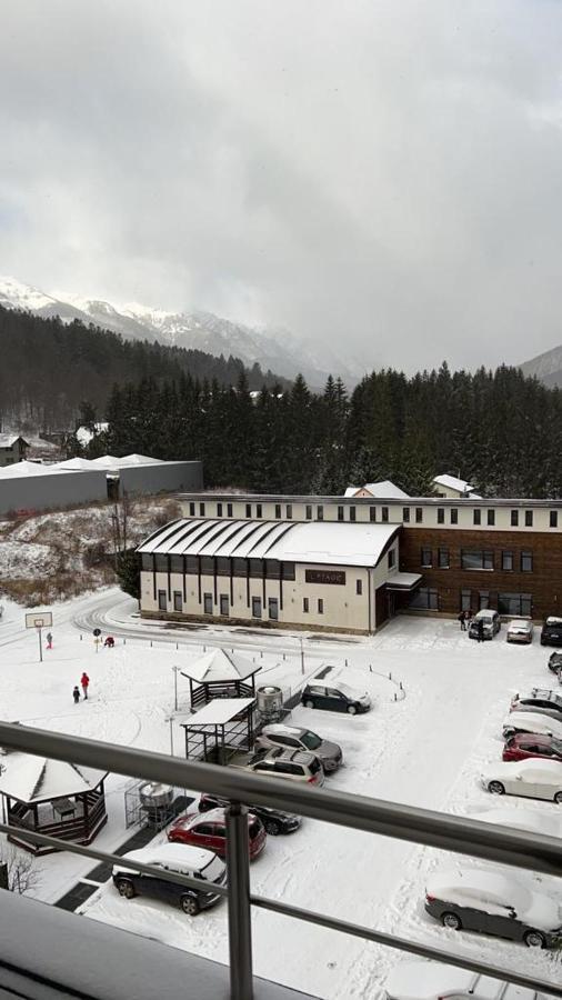 Coca Apart Mountain View Sinaia Exteriör bild