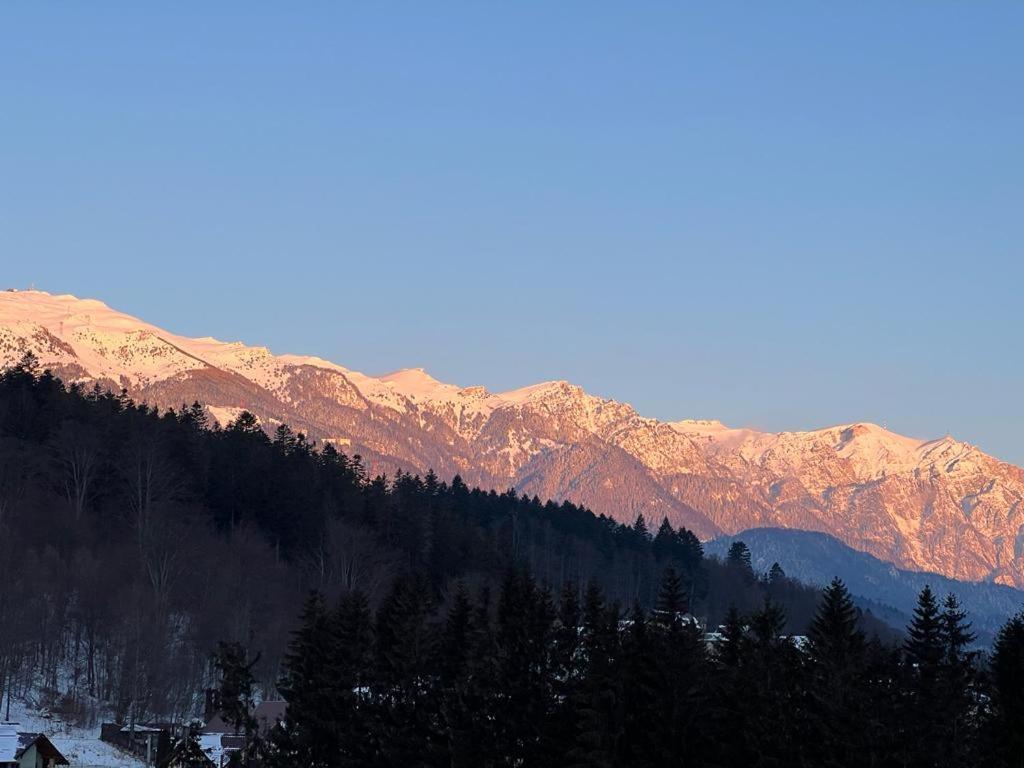 Coca Apart Mountain View Sinaia Exteriör bild