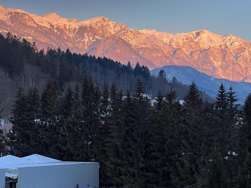 Coca Apart Mountain View Sinaia Exteriör bild