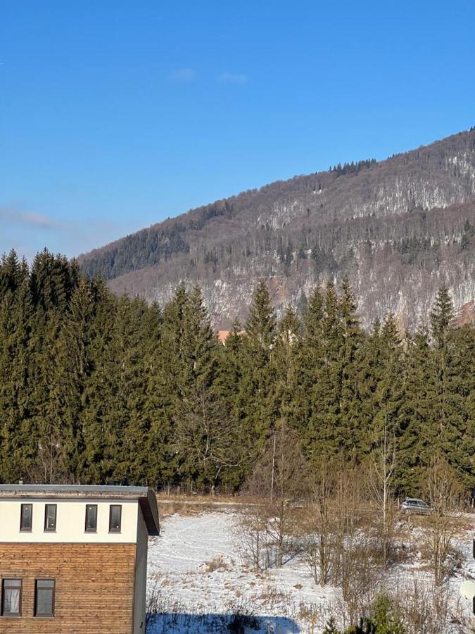 Coca Apart Mountain View Sinaia Exteriör bild