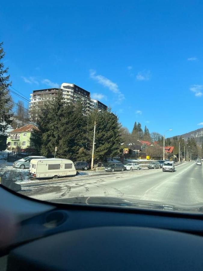 Coca Apart Mountain View Sinaia Exteriör bild