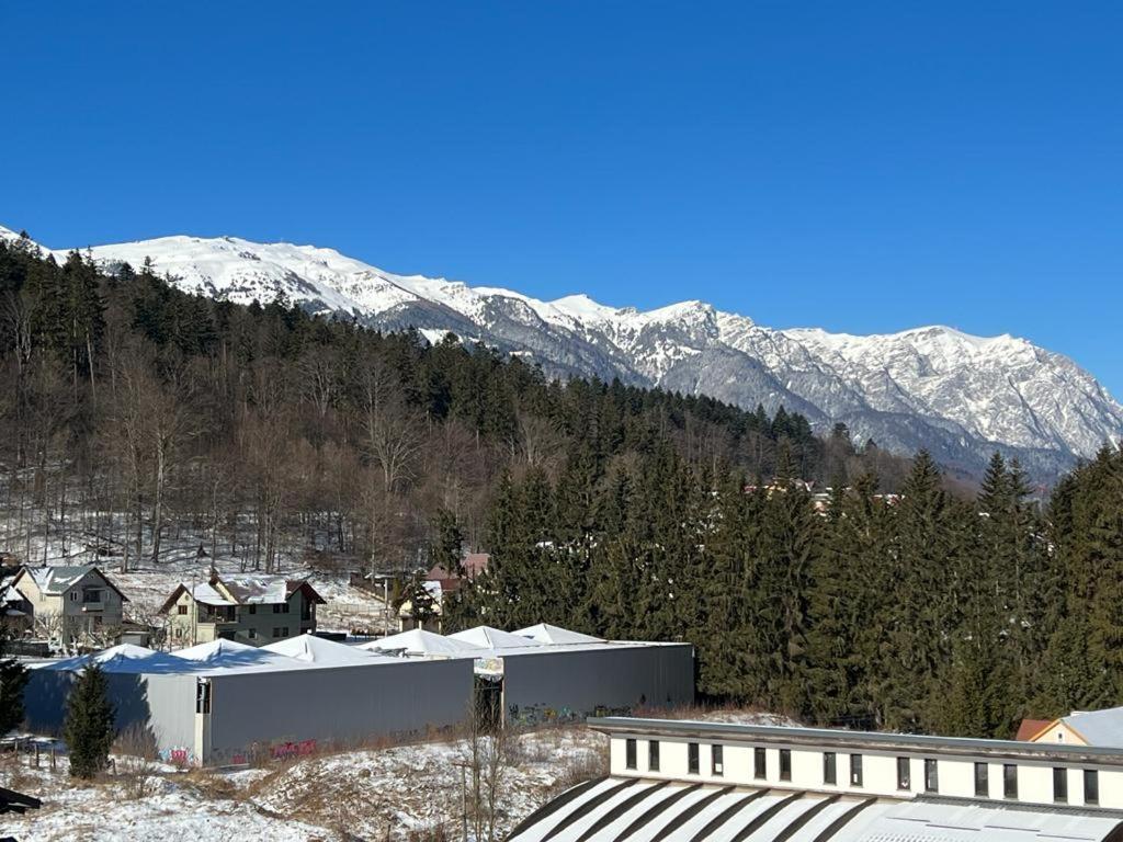 Coca Apart Mountain View Sinaia Exteriör bild